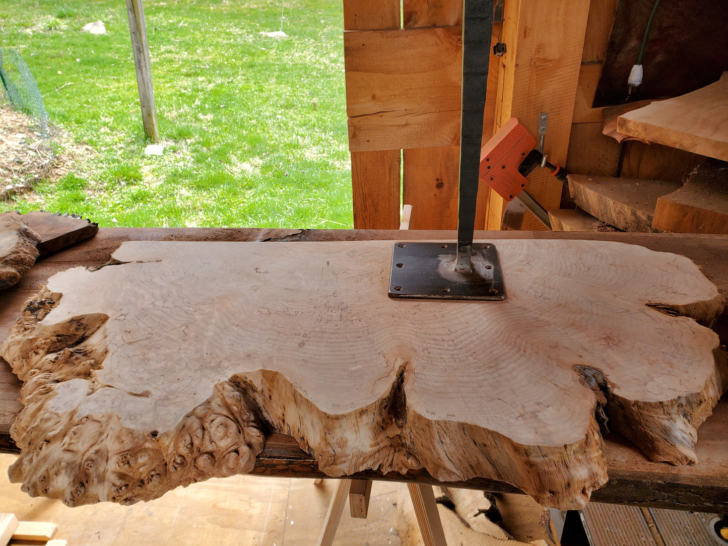 Blanket Bench - Slab Live edge Big Leaf Maple