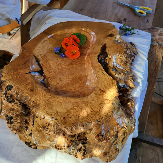 Slab Burl Bowl - Big Leaf Maple