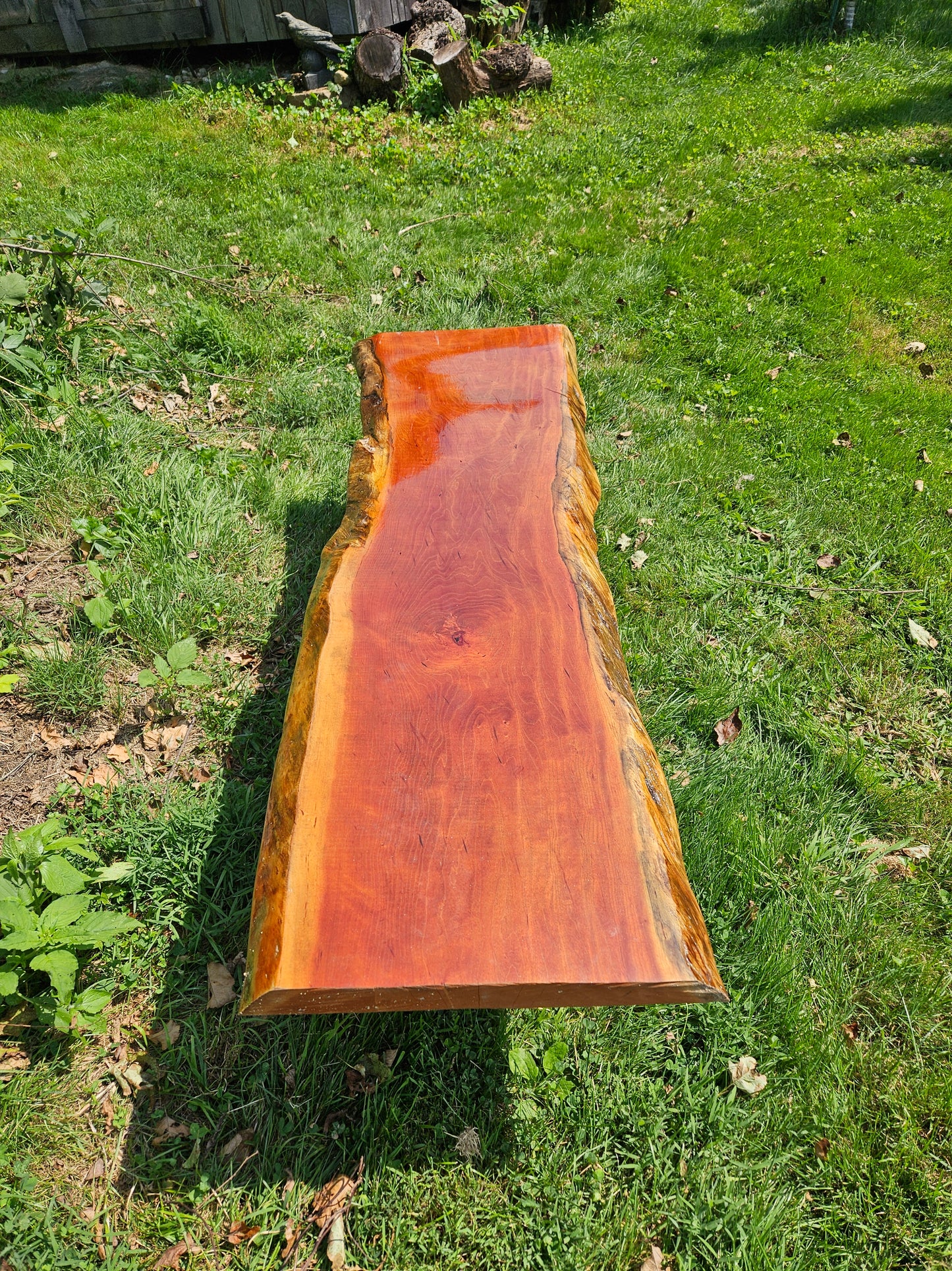 Bench - Slab Live edge Cherry